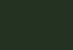 Софит GreenCoat Pural Grand Line с перфорацией-11