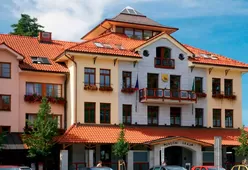 Керамическая черепица РОМАНСКАЯ 12 Tondach-23