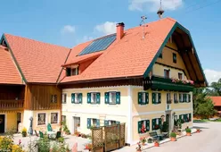 Керамическая черепица ФАЛЬЦОВКА 11 Tondach-10
